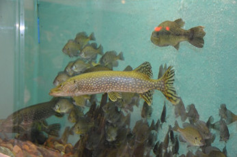 5126D2E1-1938-40B2-8927-D68F6FD67CB7