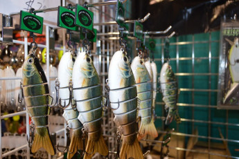 51411927-8CFF-446C-9178-346294F64AF5