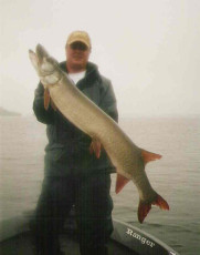 5152882f-954c-49a2-9280-605126f30611