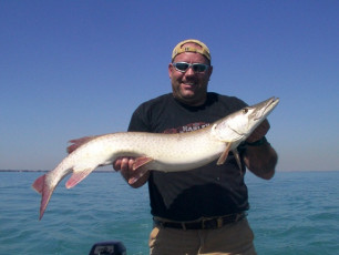 5159158f-45ed-49bb-a6c1-f65b2b7fe519