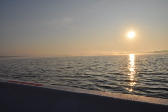 519B2E88-83E9-4DFD-807F-F271DB62450A