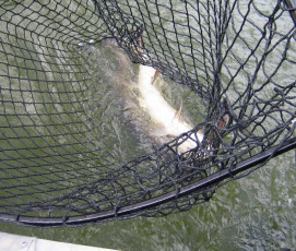 51B7D74A-733A-49E3-BE0C-0D626046F731