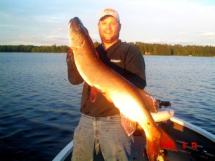 5211dfb3-2a8f-4ef2-9f3f-f29913214ad3