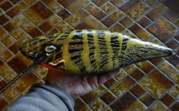 523A77DC-4B44-4F42-A7CE-8A886B7E331A