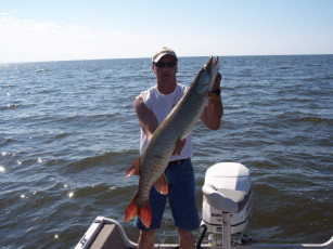 52595dee-f3a1-4dc6-b92d-76e12020b451