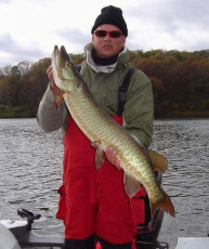 526050C8-EBDA-4B3D-801D-4DF5734B822F