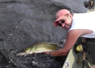 526a0df6-e17b-4ab4-bb2d-c2da1e32d0a2