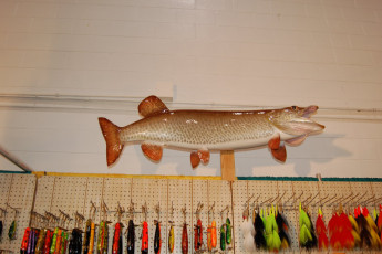 529a928e-f2e6-4501-abd8-19e74e2fbb25