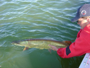 52B77F8D-BA3D-46BB-A311-ED24CC569465