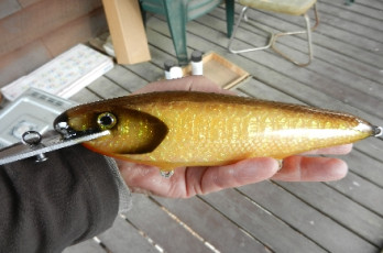 52BEC2F5-88FF-4E64-8FAF-05F43C4BDC14