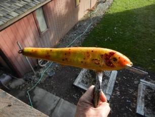 532318F6-B2C6-4308-A68A-B8F6246AAC3B