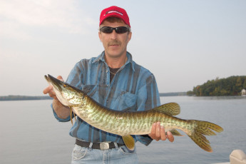 5346B24F-4A4A-4E47-8D5E-41DE81E1BE4B