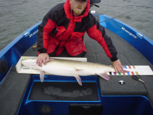 536029c6-e84a-4b53-b739-342c0e2edc28