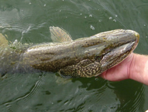 536CE023-4354-4D17-83B9-7B4FF11457C4