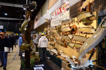 538C58B7-33BC-45BB-85A6-2E0328227622