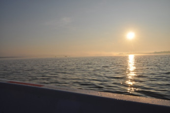 53AEFCE9-56FB-490A-8906-C0188150A45D