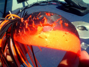 53C8E5EE-AA23-43F3-ABF9-F556E3EEBD60