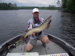 53CA84C9-7BD0-4968-8C15-BEF00C1475E4