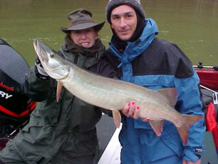 53d6e8c2-8fe3-495c-95a7-c80790482e21