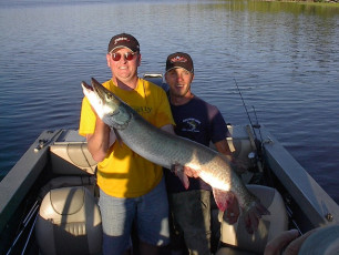 5408dac3-8d17-4dc4-8f89-dc89ec5eddae