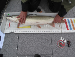 5452C8A5-AB6E-4058-BBBC-2954B9A80AE6