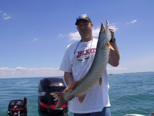 54683ca5-fb7d-42a5-95f7-8b8c746c01cf