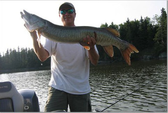 54898DFC-EB7E-4B95-93DF-6D1948D5E88D