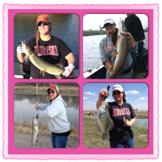 54F0FBEC-AC8C-4689-9F5A-869676A31293