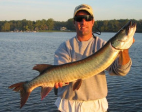 54ace36f-1f4a-4a01-9a9b-14ba3fe6fa9e