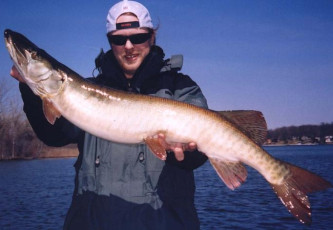 54b721e1-cf75-47b5-a175-8090fb9dbb23