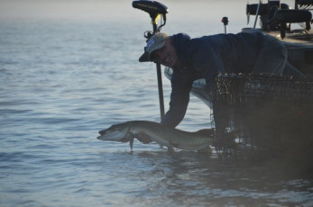 550B4510-7288-45A8-A5C6-FDF2C2F51432