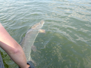 55198cd2-8748-4a40-8d27-6a09a7e9e6f6