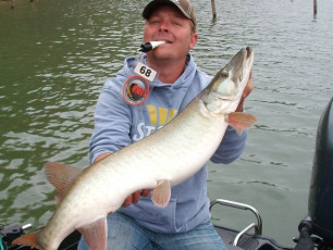 554630BF-3D8B-41F2-AAFE-75557E7A462A