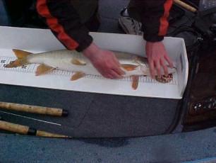 556d7b24-5106-4ea2-8164-4d1306b07749