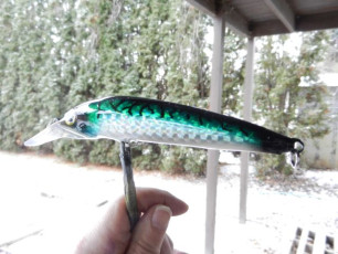 559458B2-D715-4C6C-BA59-53C821D10E80