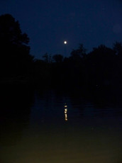 559D5F0A-418D-49E2-8C60-DD81797F190D