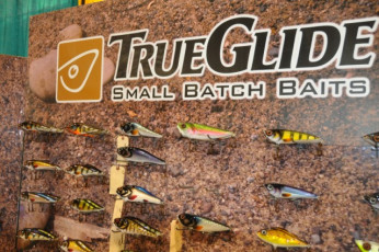 55C02E18-5A72-4B09-AAF8-029CFDB0889D