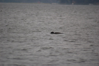 566b91a6-5048-4849-950f-e5c5bb92e35e