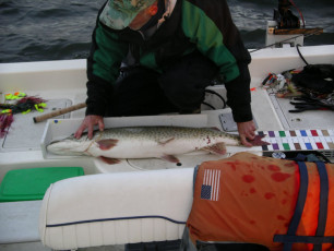 56831db1-dd1e-4a22-b64c-c87a78482580