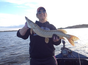 5752CE58-9488-487D-A839-5FD520DC05D3