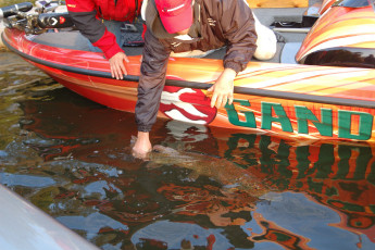 57F0E523-E238-4D92-98C6-D131214524D7