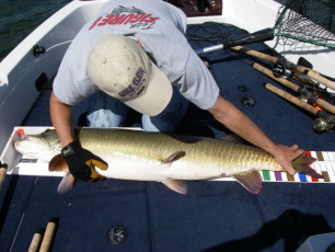 582c2e50-1cff-41fe-8666-e781db787a0c