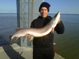 58B2BF5D-A2F7-4E4D-8668-D3071BE29E2F