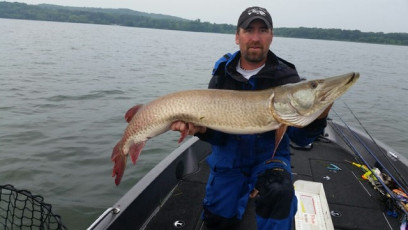 59E9452D-0C1B-4F40-A9EA-7174FE5B3112