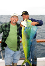 59c8f5bf-4d05-4ca1-b13a-1417d02753f5