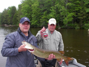 5A17E32F-24C7-4C47-B12F-4170EA9BF285