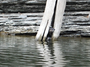 5A5E97C0-B9F1-4709-9E68-F93436290924