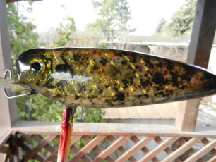 5AE5E3DF-6321-43F7-81B2-3087216557ED