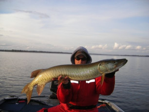 5B4FE931-15F5-4358-A96D-8F5C187FDB8A