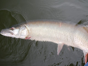 5B690DD7-2C4C-45B6-8333-3C6DCE746225